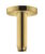 Brat de dus Hansgrohe S cu montare pe tavan 10cm auriu