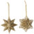 Set 2 decoratiuni brad Villeroy & Boch Christmas Decoration Star Snowflake 10cm